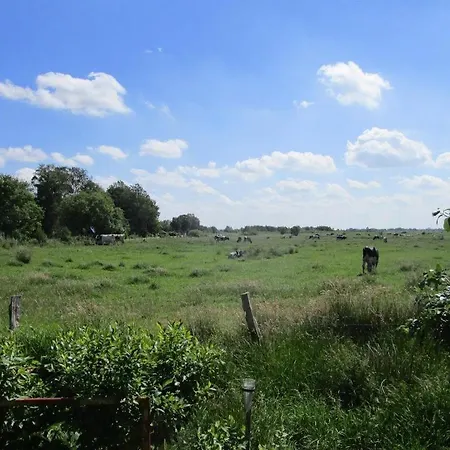 Biesterfeld * Bedekaspel