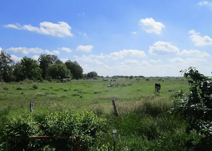 Biesterfeld * Bedekaspel